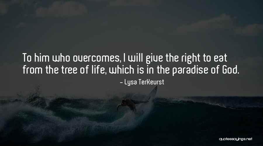 Basamak Degerleri Quotes By Lysa TerKeurst Basamak Degerleri Quotes By Lysa TerKeurst