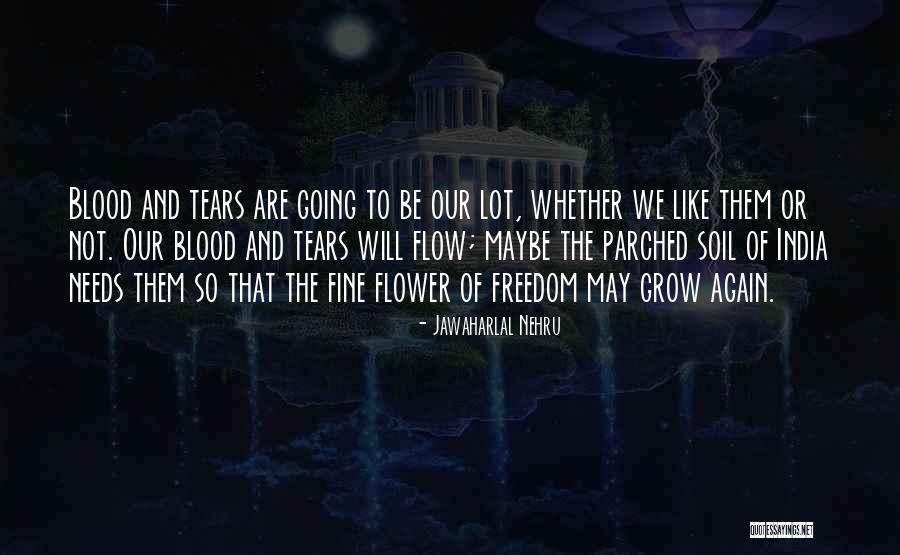 Basaraba Excavating Quotes By Jawaharlal Nehru Basaraba Excavating Quotes By Jawaharlal Nehru