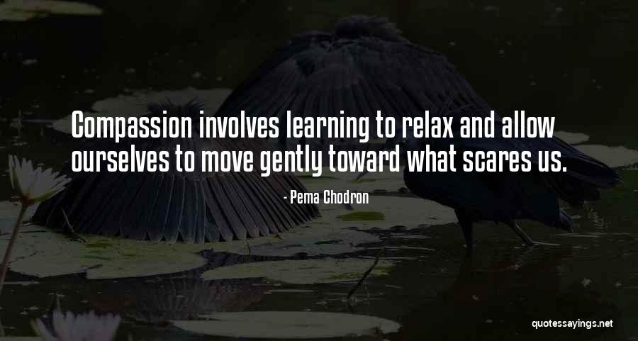Basauri Map Quotes By Pema Chodron Basauri Map Quotes By Pema Chodron