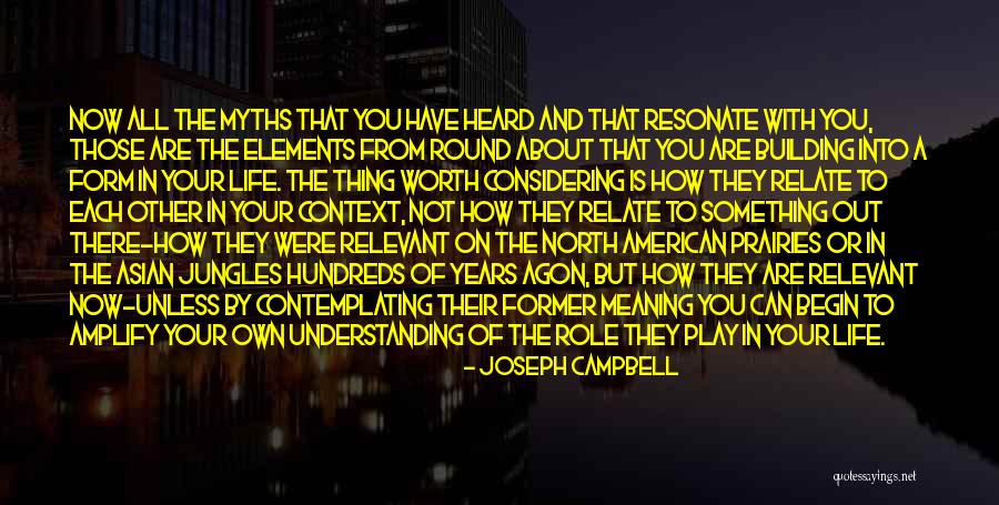 Basbaum And Fields Quotes By Joseph Campbell