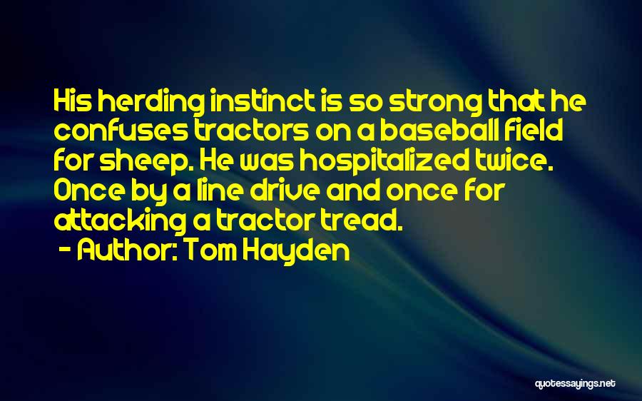 Baseball Field Quotes By Tom Hayden