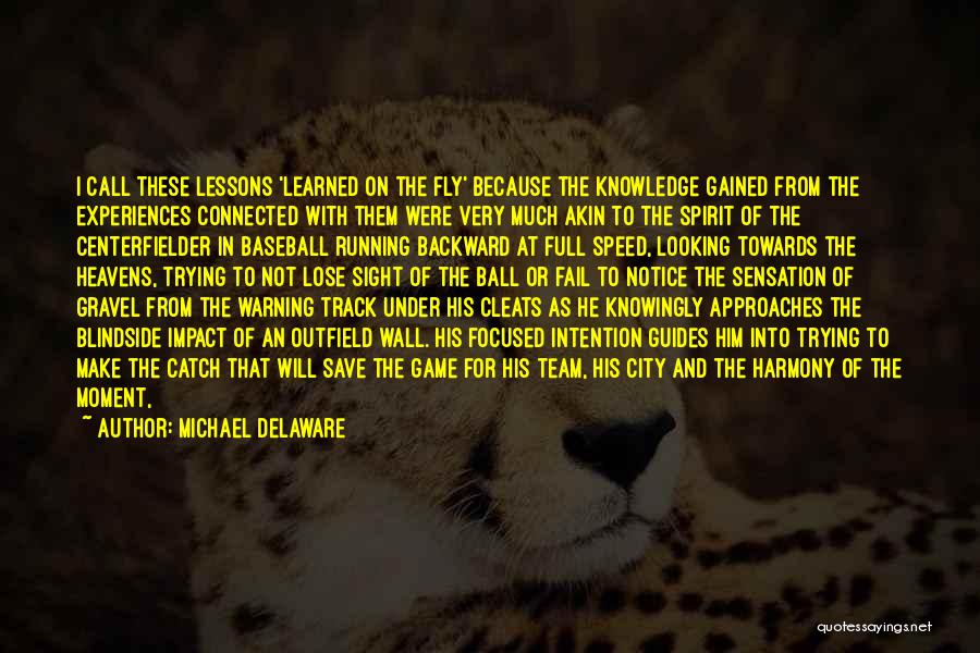 Baseball Great Quotes By Michael Delaware