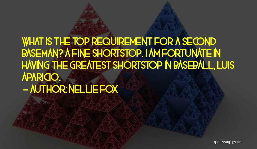 Baseball Greatest Quotes By Nellie Fox
