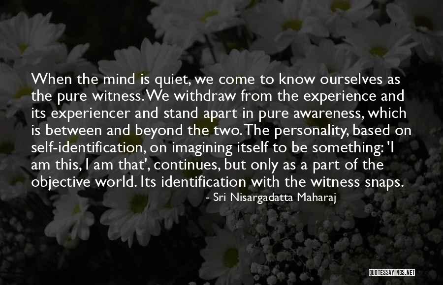 Based On Experience Quotes By Sri Nisargadatta Maharaj Based On Experience Quotes By Sri Nisargadatta Maharaj