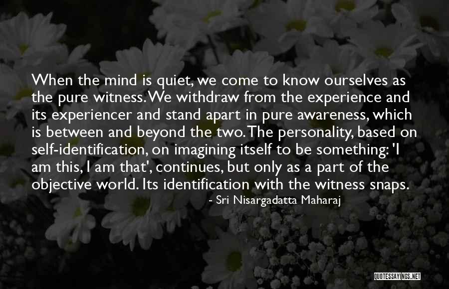 Based On Experience Quotes By Sri Nisargadatta Maharaj