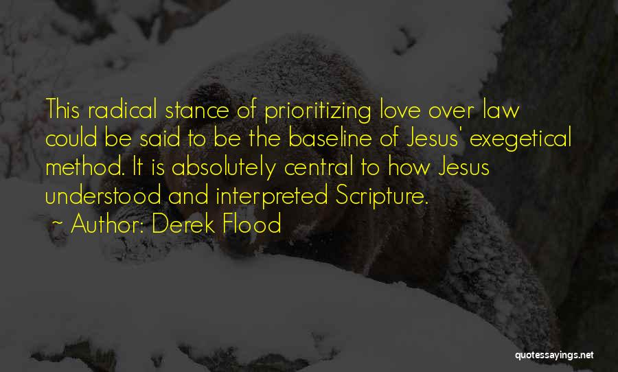 Baseline Quotes By Derek Flood