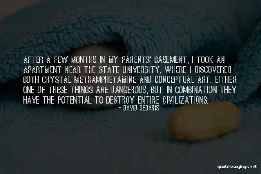 Basement Quotes By David Sedaris