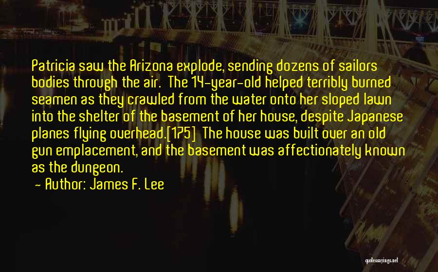 Basement Quotes By James F. Lee Basement Quotes By James F. Lee