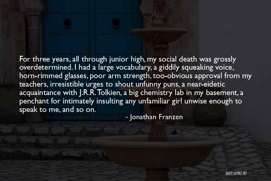 Basement Quotes By Jonathan Franzen