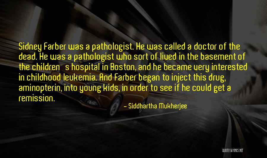 Basement Quotes By Siddhartha Mukherjee