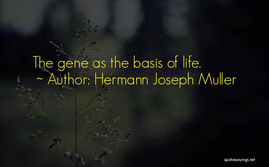 Bases Quotes By Hermann Joseph Muller
