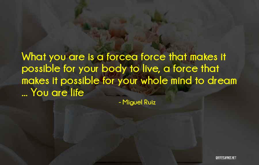 Bash Command Line Quotes By Miguel Ruiz Bash Command Line Quotes By Miguel Ruiz