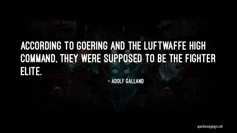 Bashir Sultani Quotes By Adolf Galland Bashir Sultani Quotes By Adolf Galland