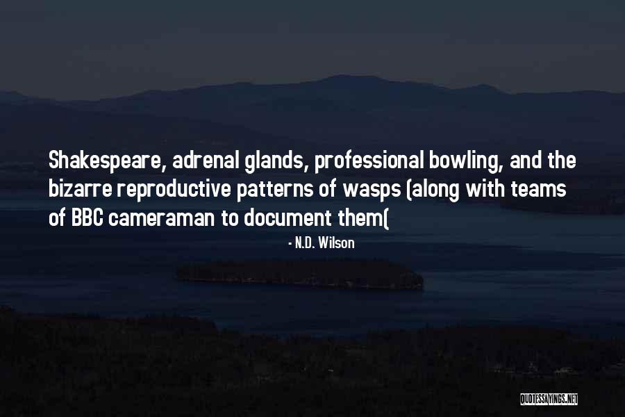 Basic Brazilian Quotes By N.D. Wilson Basic Brazilian Quotes By N.D. Wilson