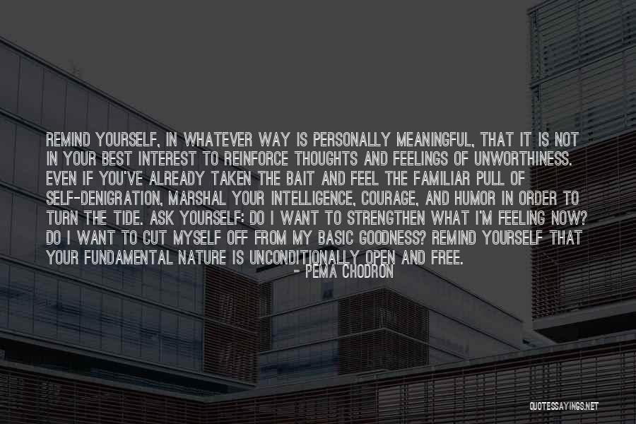 Basic Fundamental Quotes By Pema Chodron Basic Fundamental Quotes By Pema Chodron