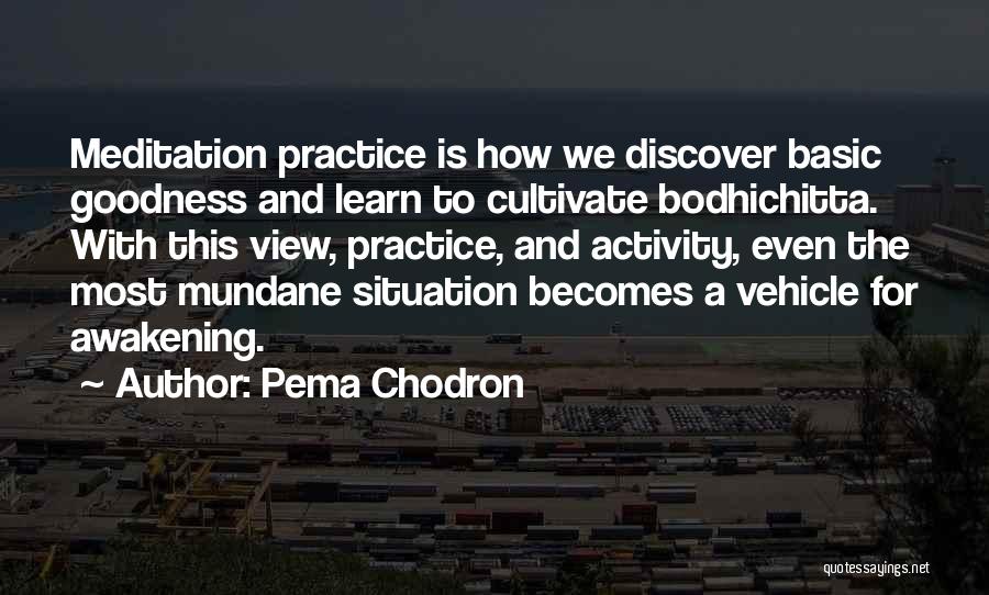 Basic Goodness Quotes By Pema Chodron