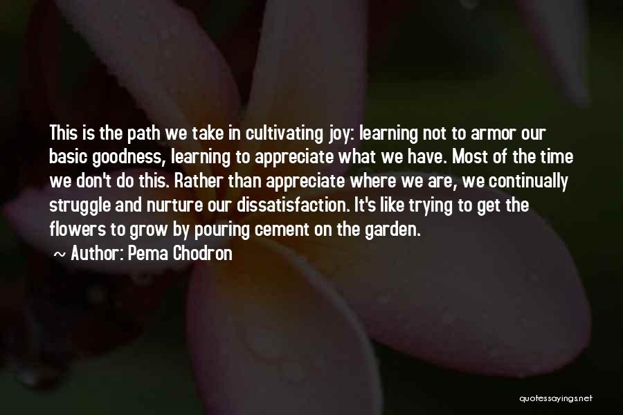 Basic Goodness Quotes By Pema Chodron