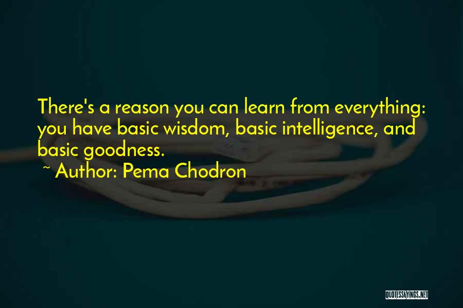 Basic Goodness Quotes By Pema Chodron