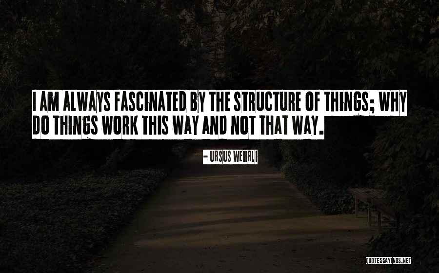 Basic Human Decency Quotes By Ursus Wehrli Basic Human Decency Quotes By Ursus Wehrli