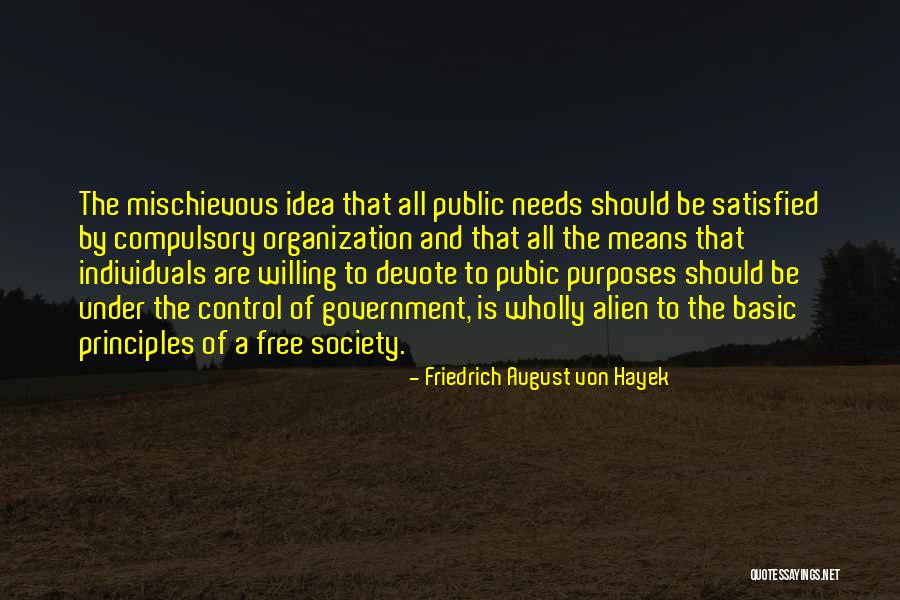 Basic Needs Quotes By Friedrich August Von Hayek