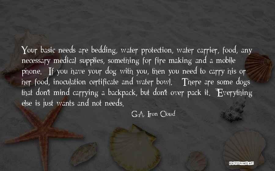 Basic Needs Quotes By G.A. Iron Cloud