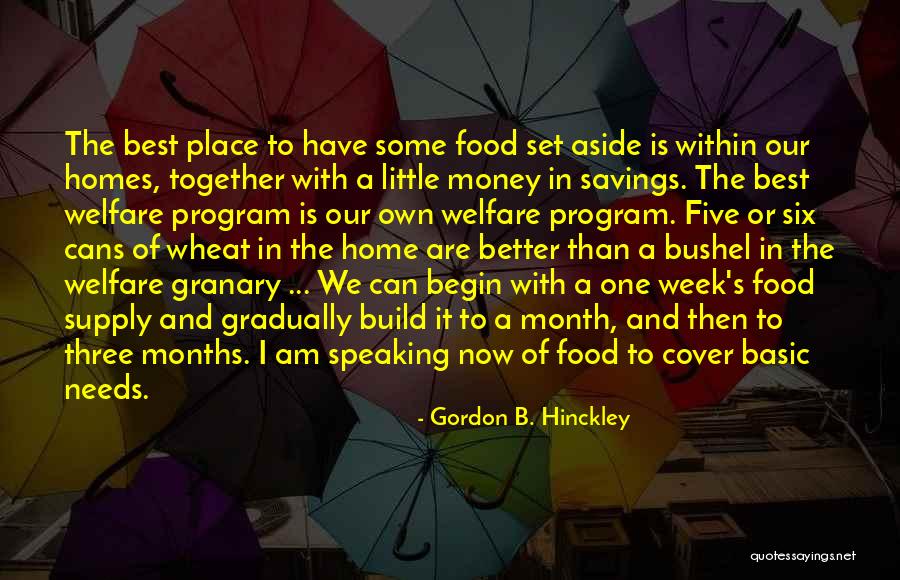 Basic Needs Quotes By Gordon B. Hinckley