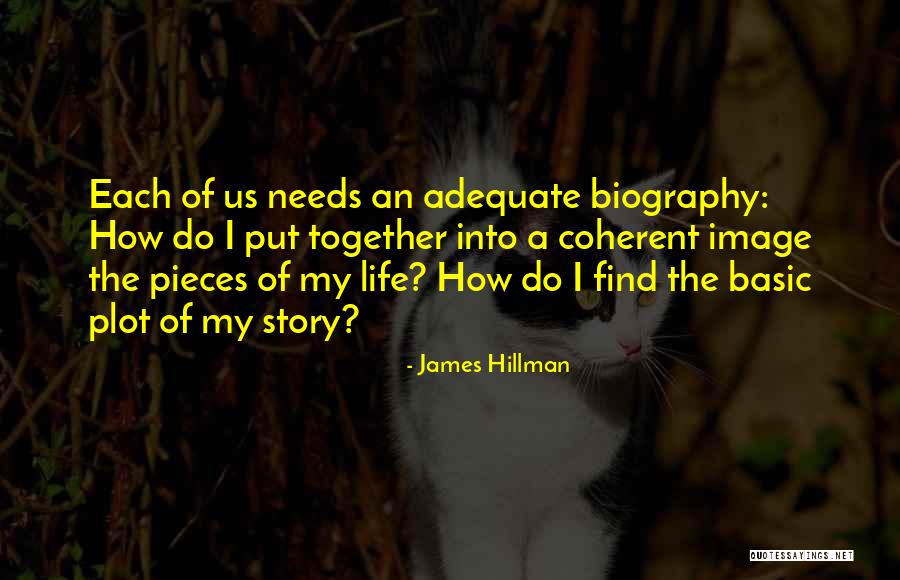 Basic Needs Quotes By James Hillman