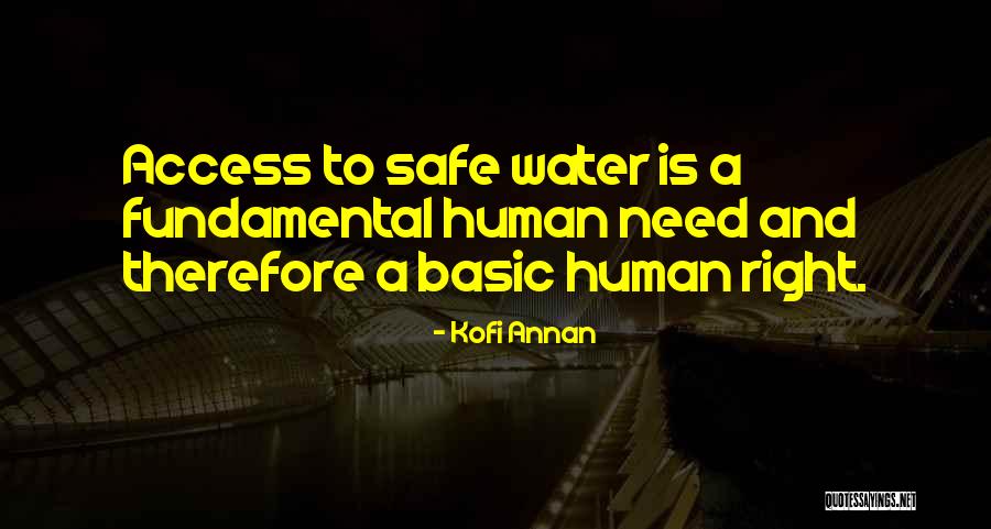 Basic Needs Quotes By Kofi Annan