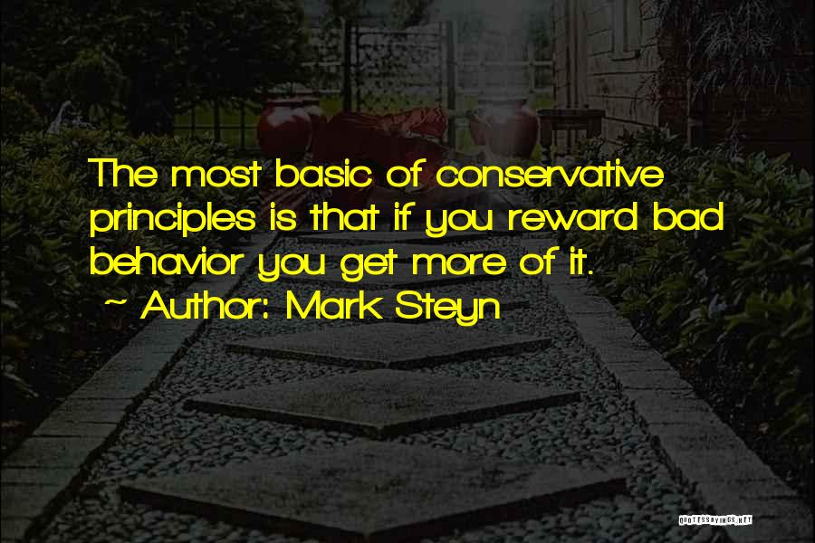 Basic Principles Quotes By Mark Steyn