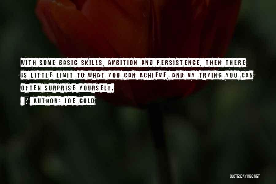 Basic Skills Quotes By Joe Gold