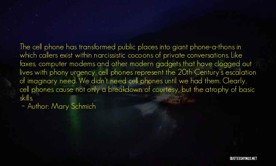 Basic Skills Quotes By Mary Schmich