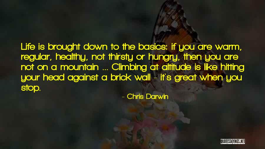 Basics Quotes By Chris Darwin Basics Quotes By Chris Darwin