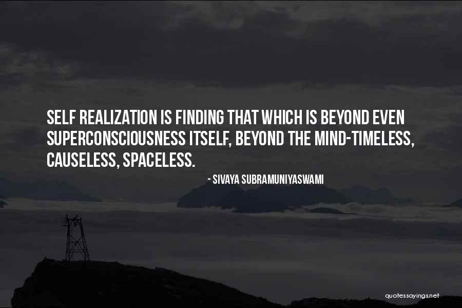 Basil Dorian Quotes By Sivaya Subramuniyaswami Basil Dorian Quotes By Sivaya Subramuniyaswami