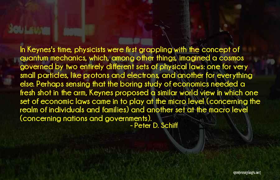 Basilia Yao Quotes By Peter D. Schiff Basilia Yao Quotes By Peter D. Schiff