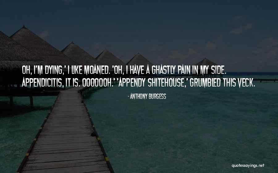 Basilisa Castillo Quotes By Anthony Burgess Basilisa Castillo Quotes By Anthony Burgess