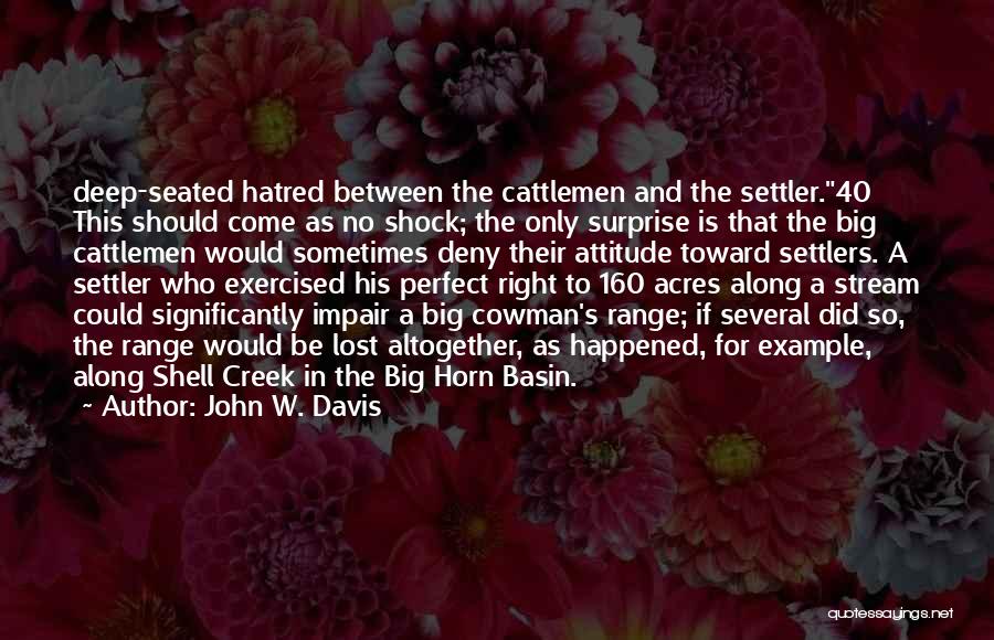 Basin Quotes By John W. Davis