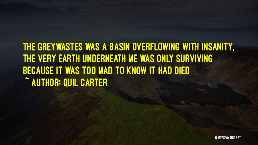 Basin Quotes By Quil Carter