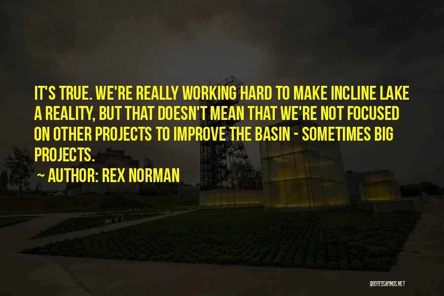 Basin Quotes By Rex Norman