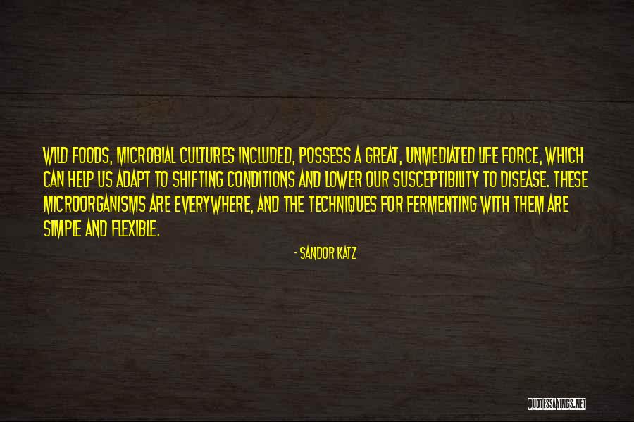 Basisaanbod Quotes By Sandor Katz Basisaanbod Quotes By Sandor Katz