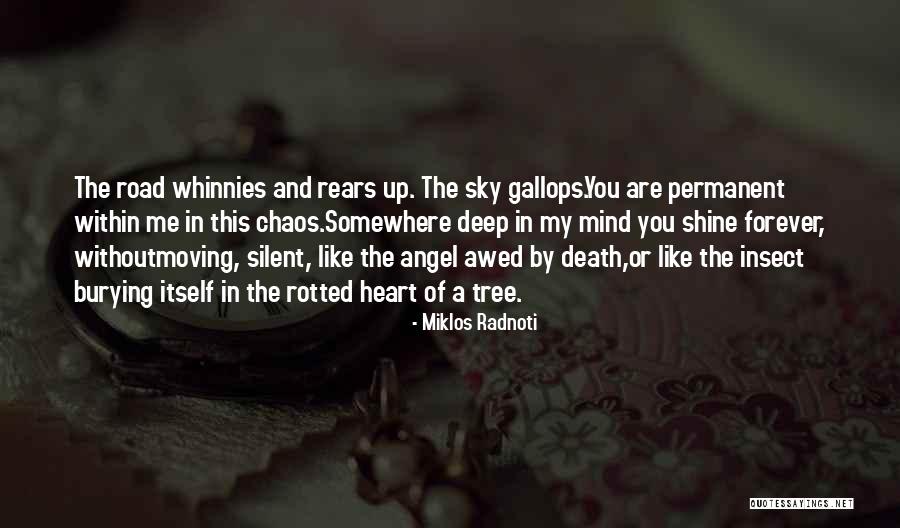 Basith Ghazali Quotes By Miklos Radnoti Basith Ghazali Quotes By Miklos Radnoti