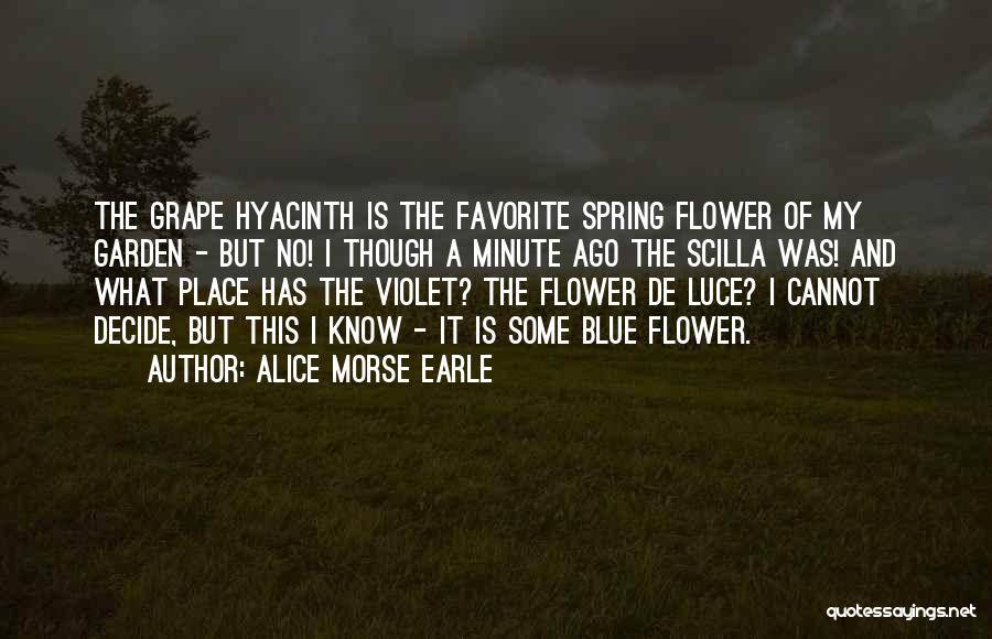 Basketball Players Tagalog Quotes By Alice Morse Earle