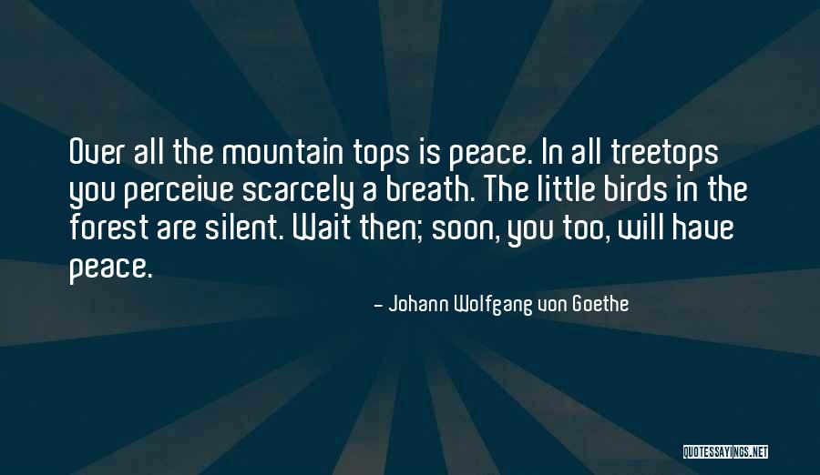 Baskets Fx Quotes By Johann Wolfgang Von Goethe Baskets Fx Quotes By Johann Wolfgang Von Goethe