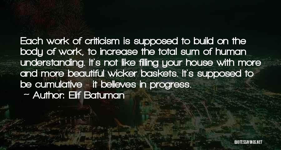 Baskets Quotes By Elif Batuman