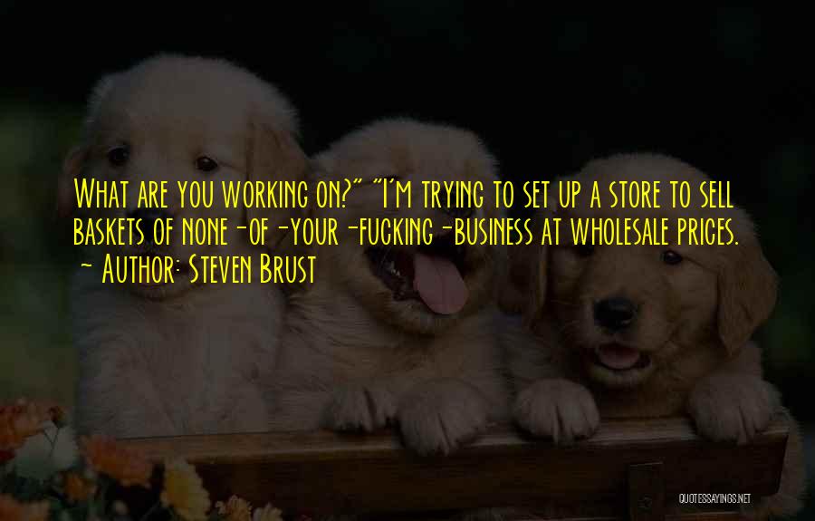 Baskets Quotes By Steven Brust