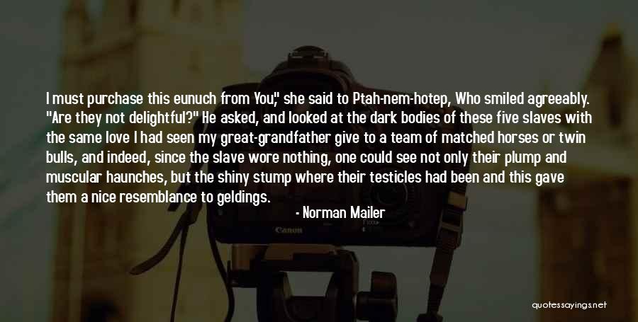 Basmajian Pensacola Quotes By Norman Mailer Basmajian Pensacola Quotes By Norman Mailer