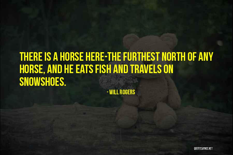 Basney Honda Quotes By Will Rogers Basney Honda Quotes By Will Rogers