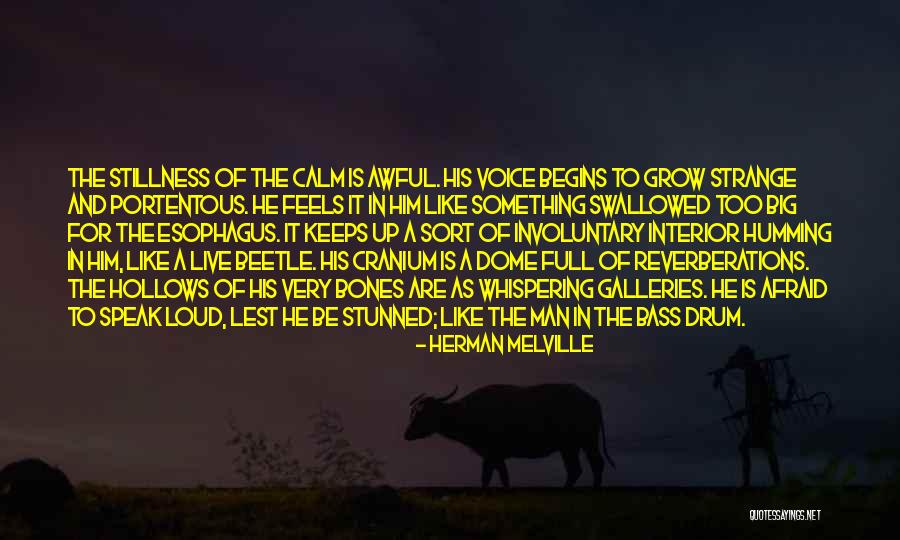 Bass Drum Quotes By Herman Melville