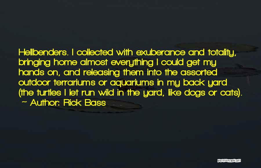 Bass Quotes By Rick Bass