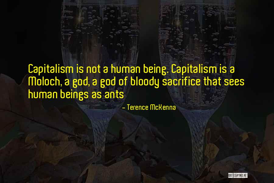 Bassaro Rocco Quotes By Terence McKenna Bassaro Rocco Quotes By Terence McKenna