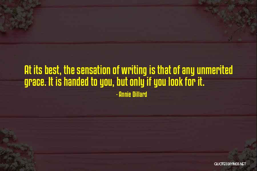 Bassek Turkish City Quotes By Annie Dillard Bassek Turkish City Quotes By Annie Dillard